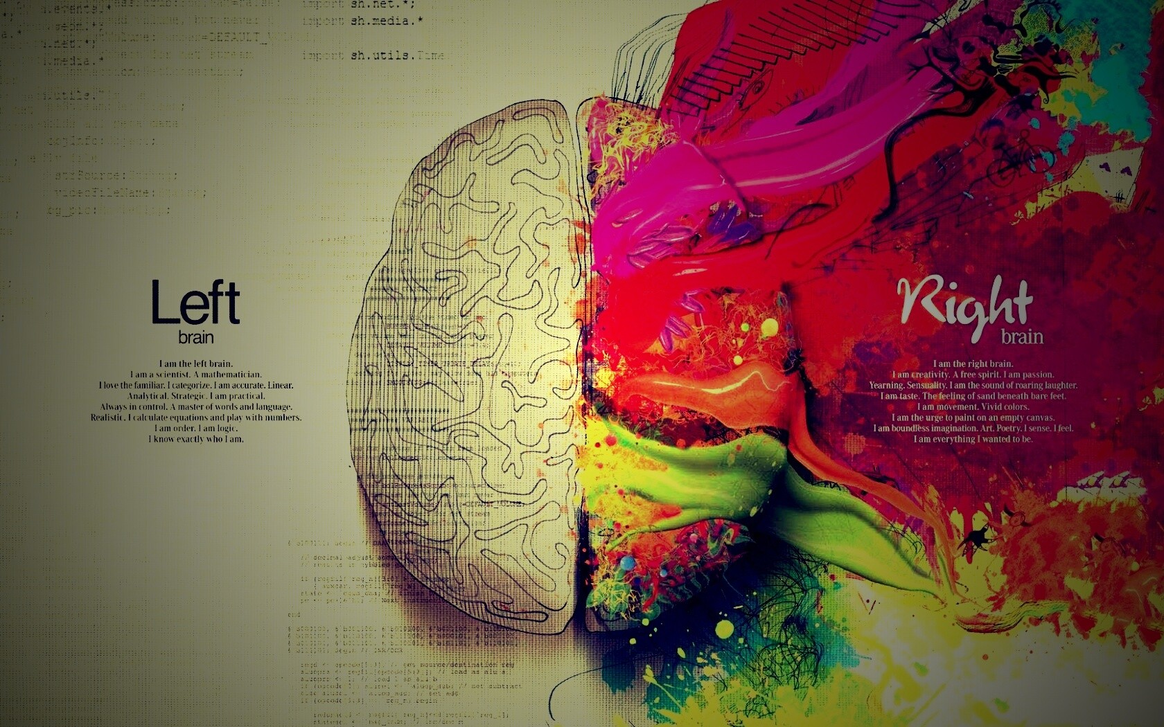 Различия левого и правого полушария обои