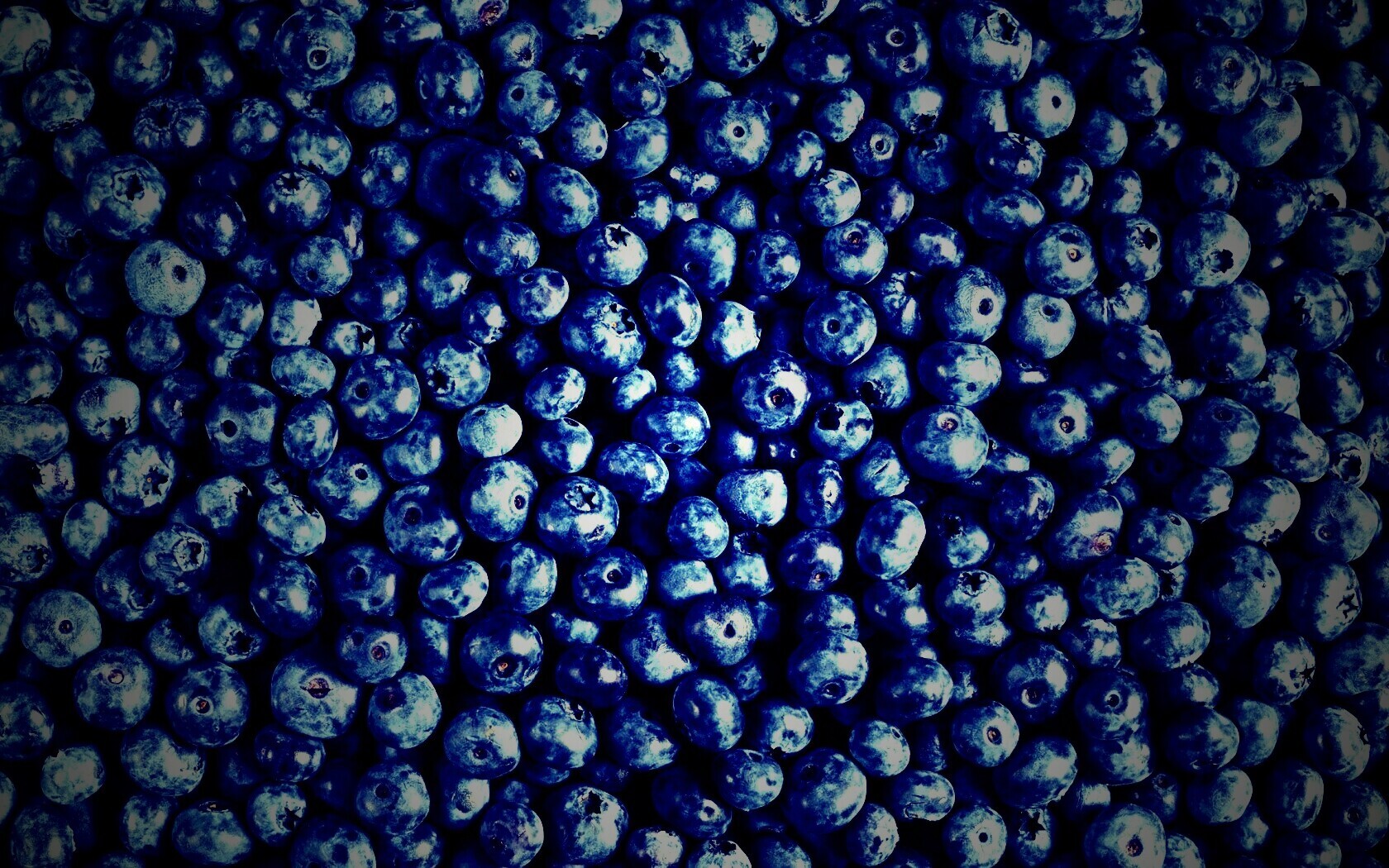 Черника обои