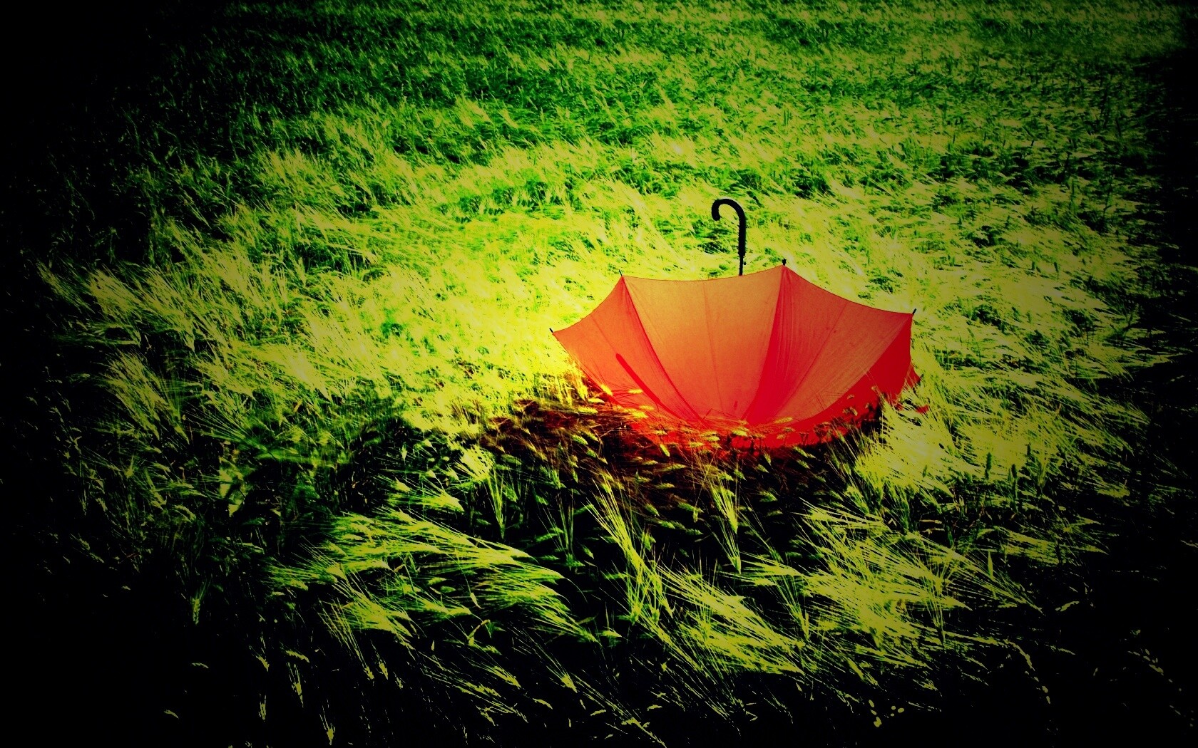 Зонт на траве обои