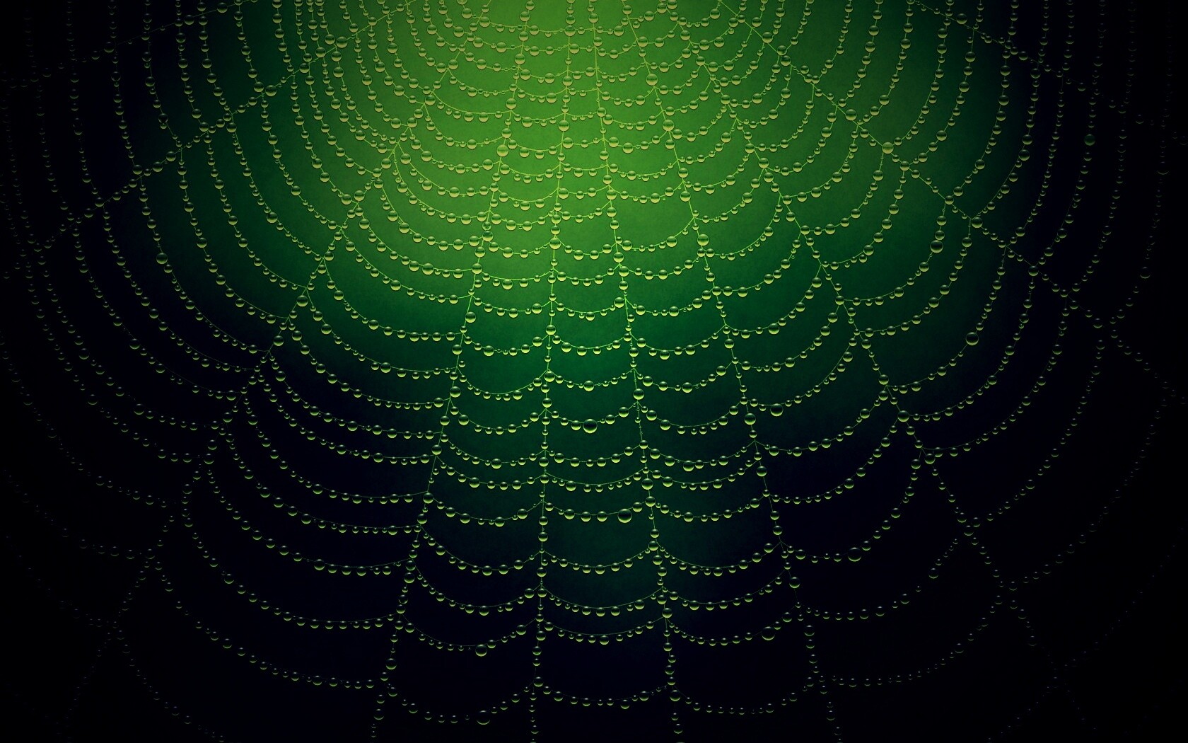 Роса на паутине обои