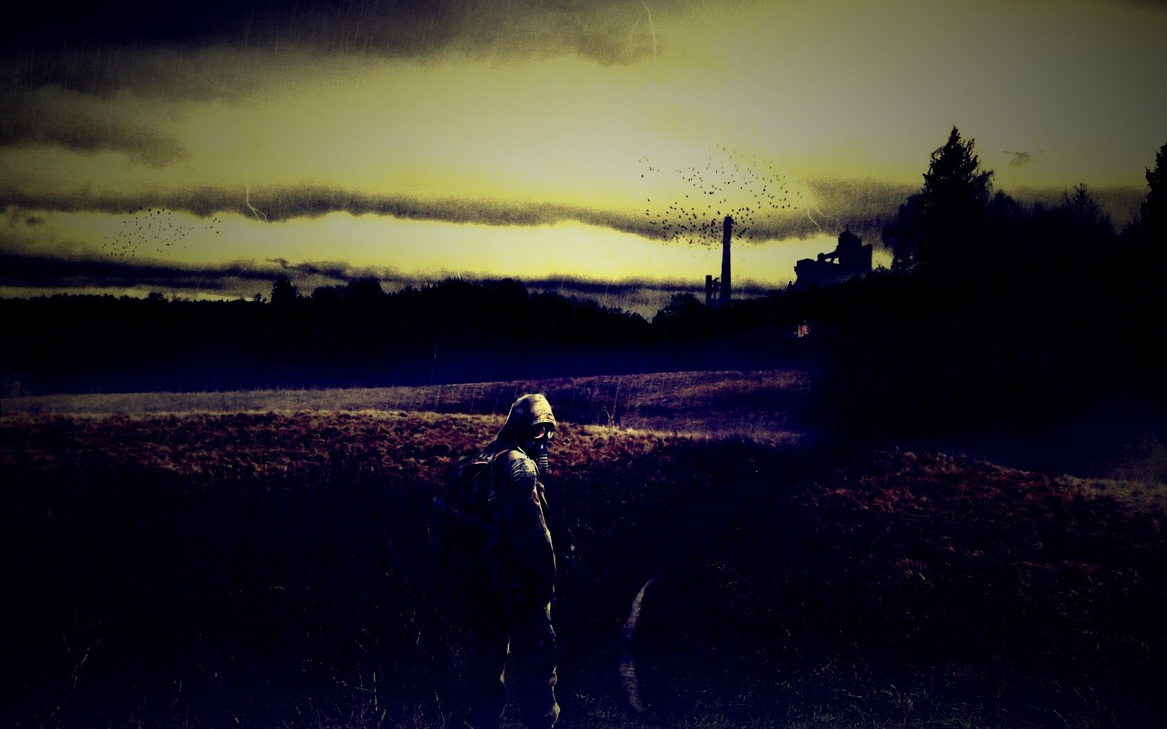 Сталкер под дождем обои