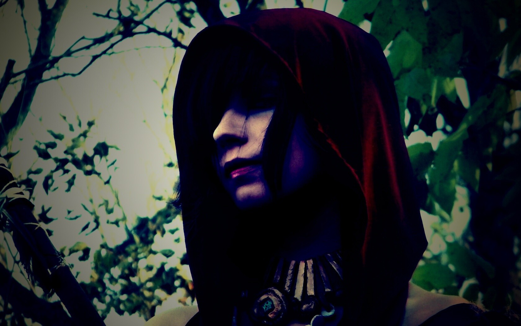 Косплей Морриган обои