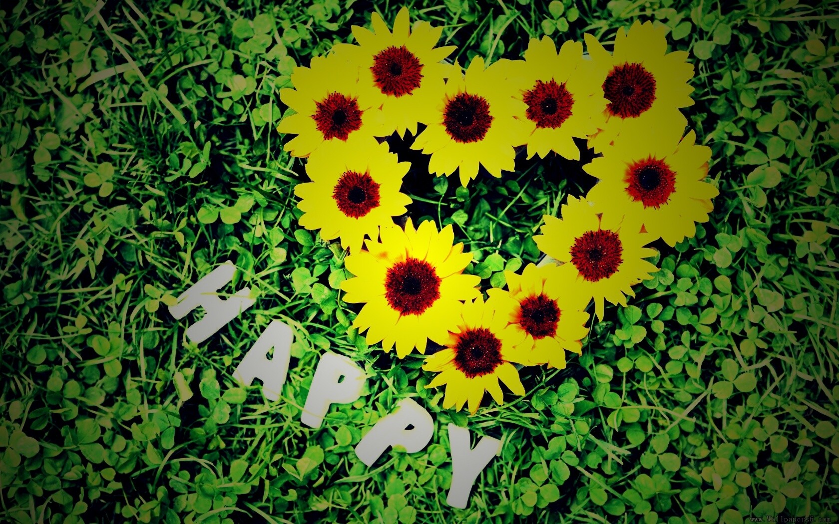 Радость обои