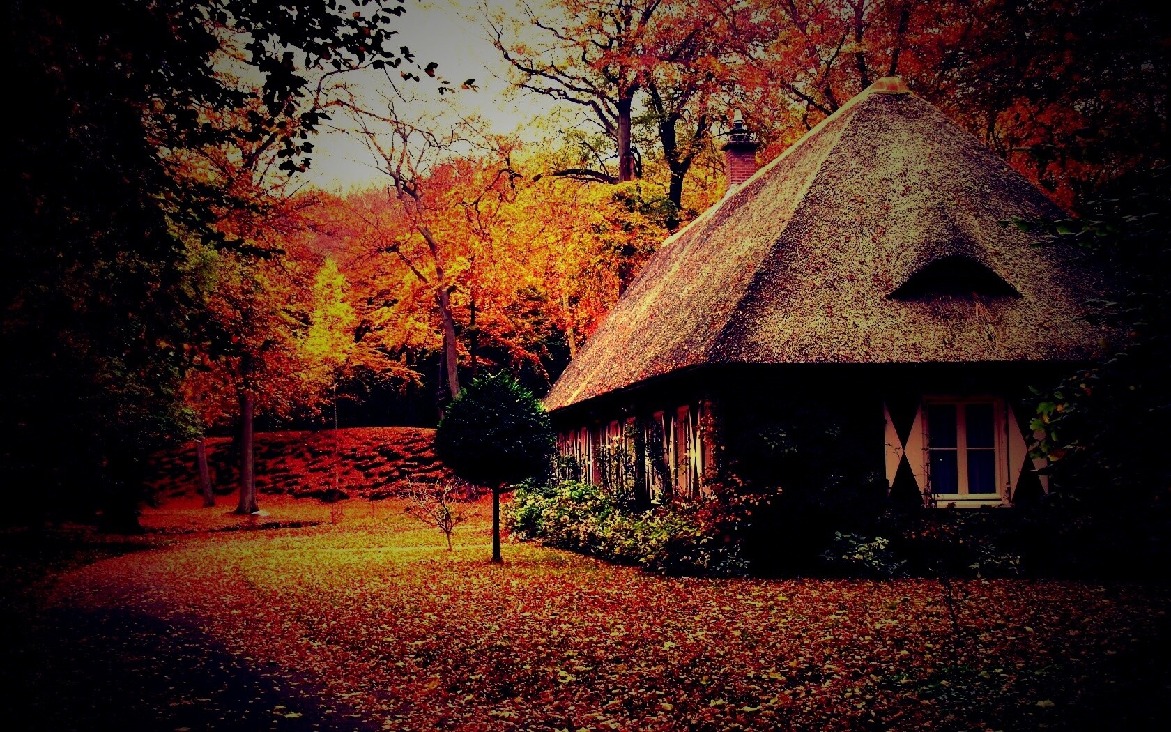 Домик в осеннем лесу обои