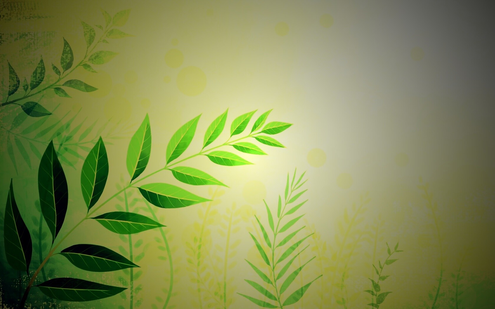 Веточка молодых листьев обои