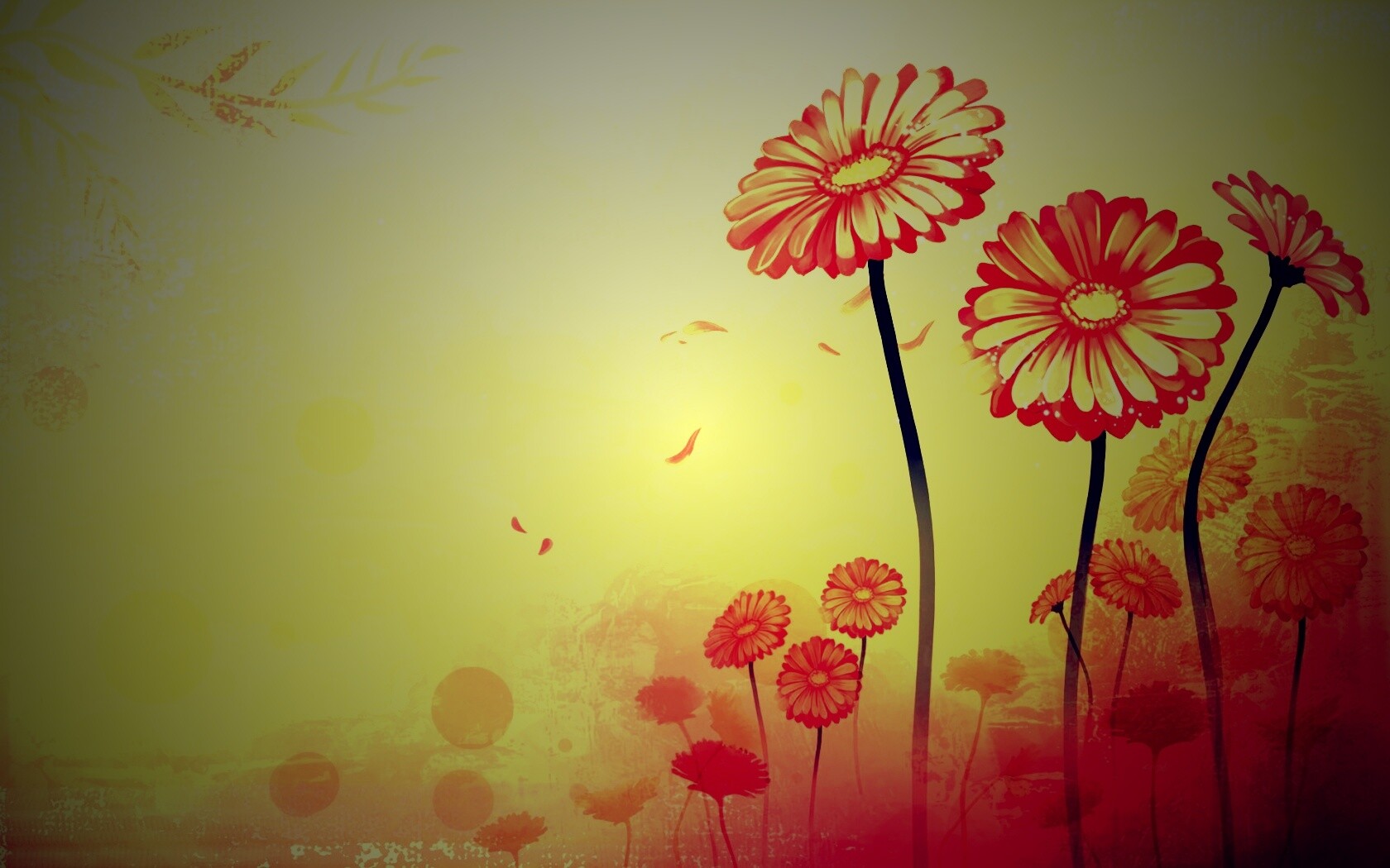 Векторные ромашки обои