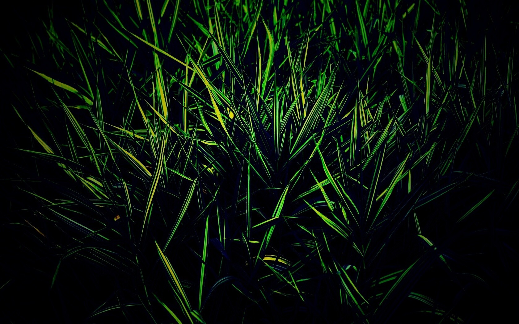 Дикая трава обои