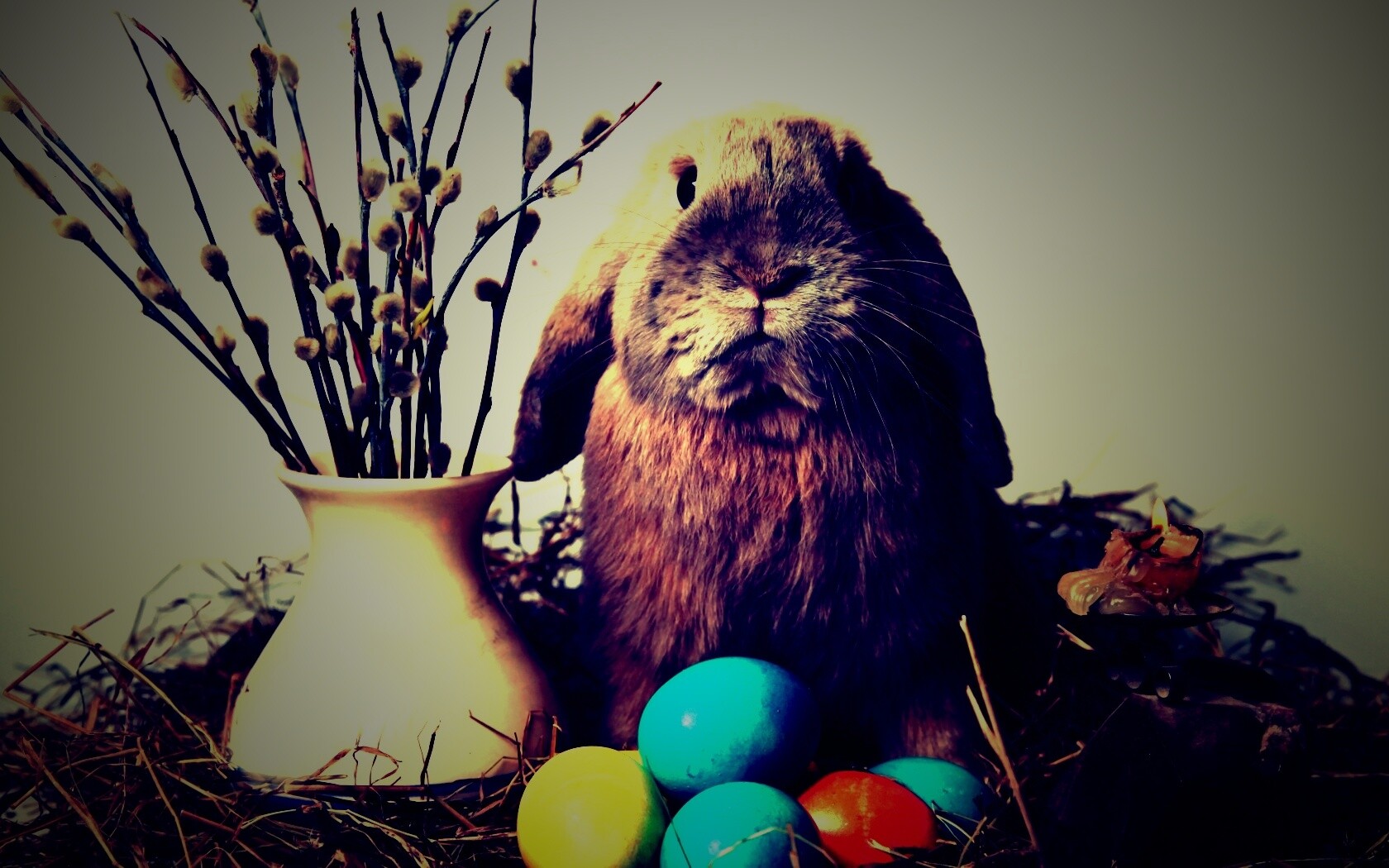 Пасхальный кролик обои