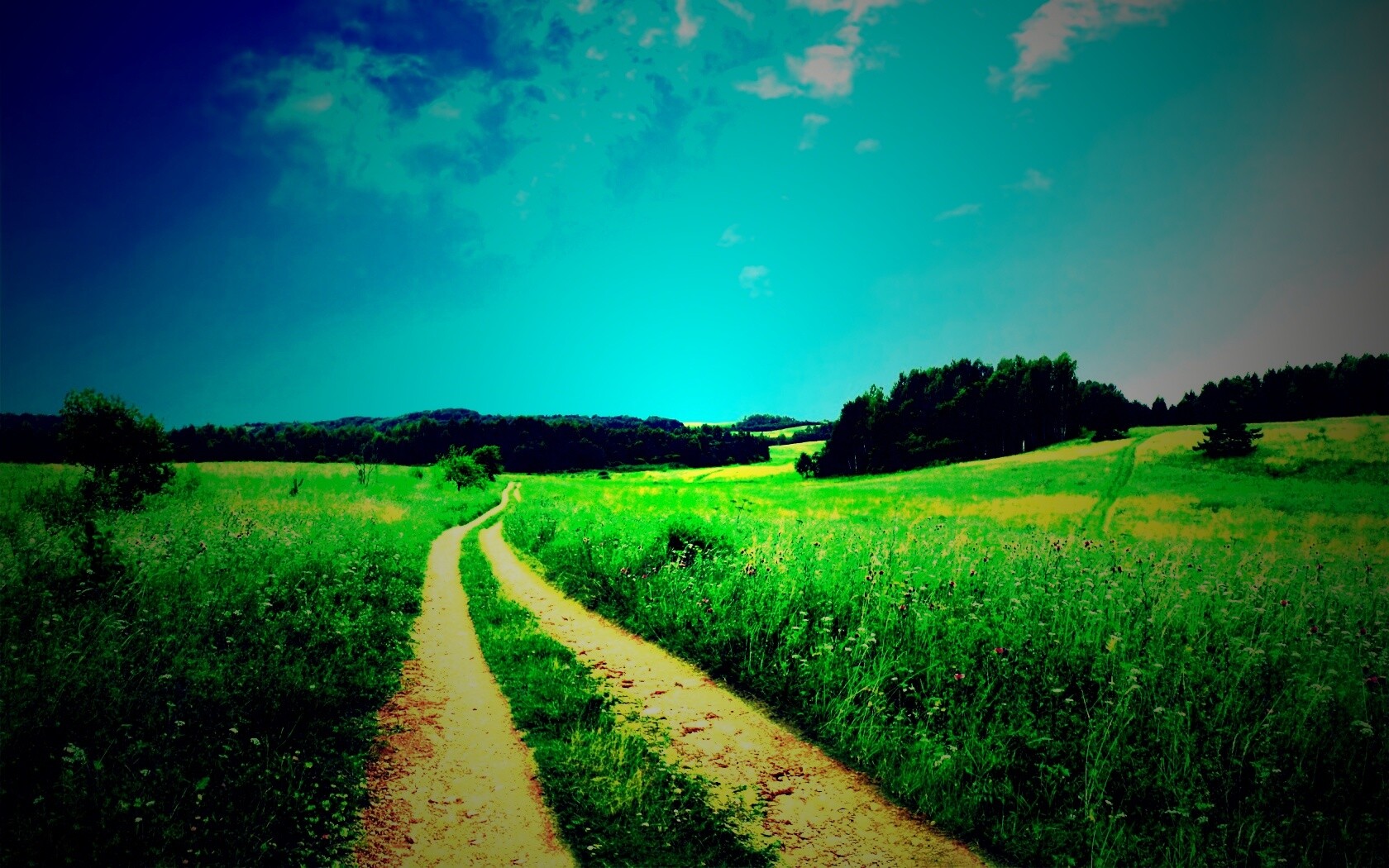 Дорога через луг обои