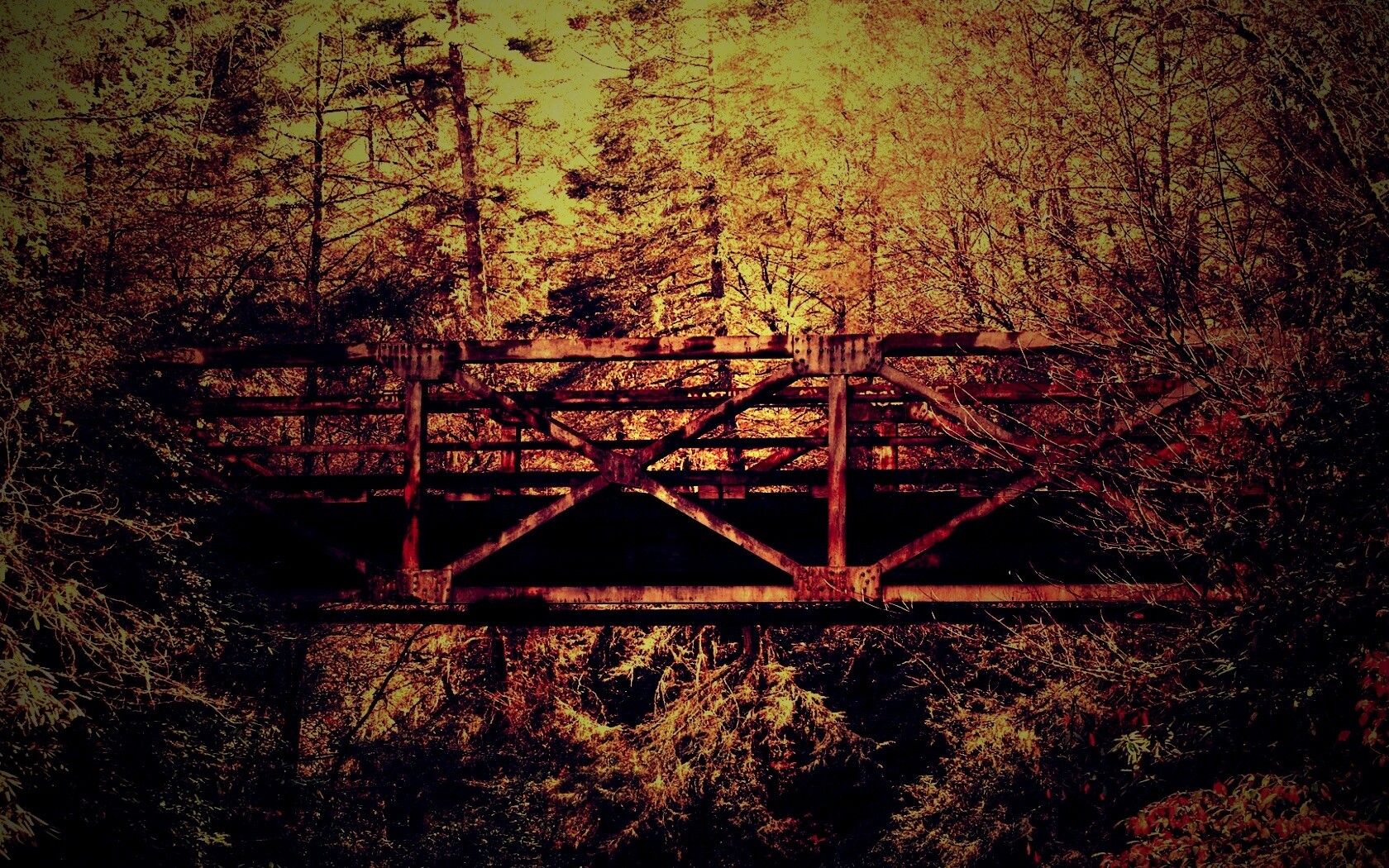 Металлический мост в лесной глуши обои