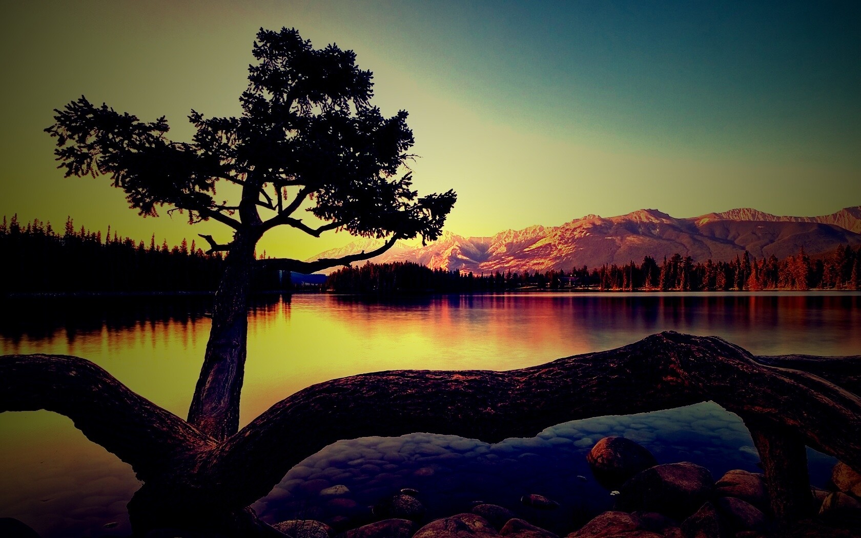 Дерево у горного озера обои