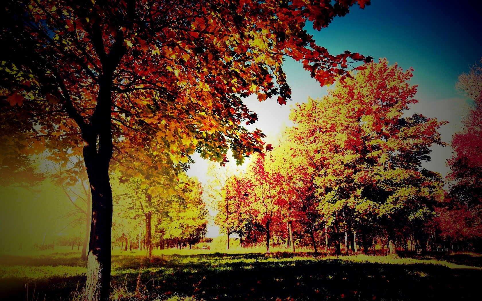 Осень в лесу обои