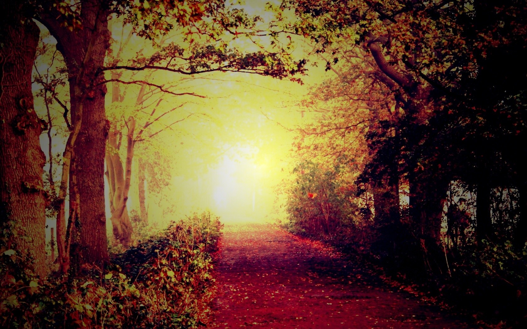 Парковая дорожка обои