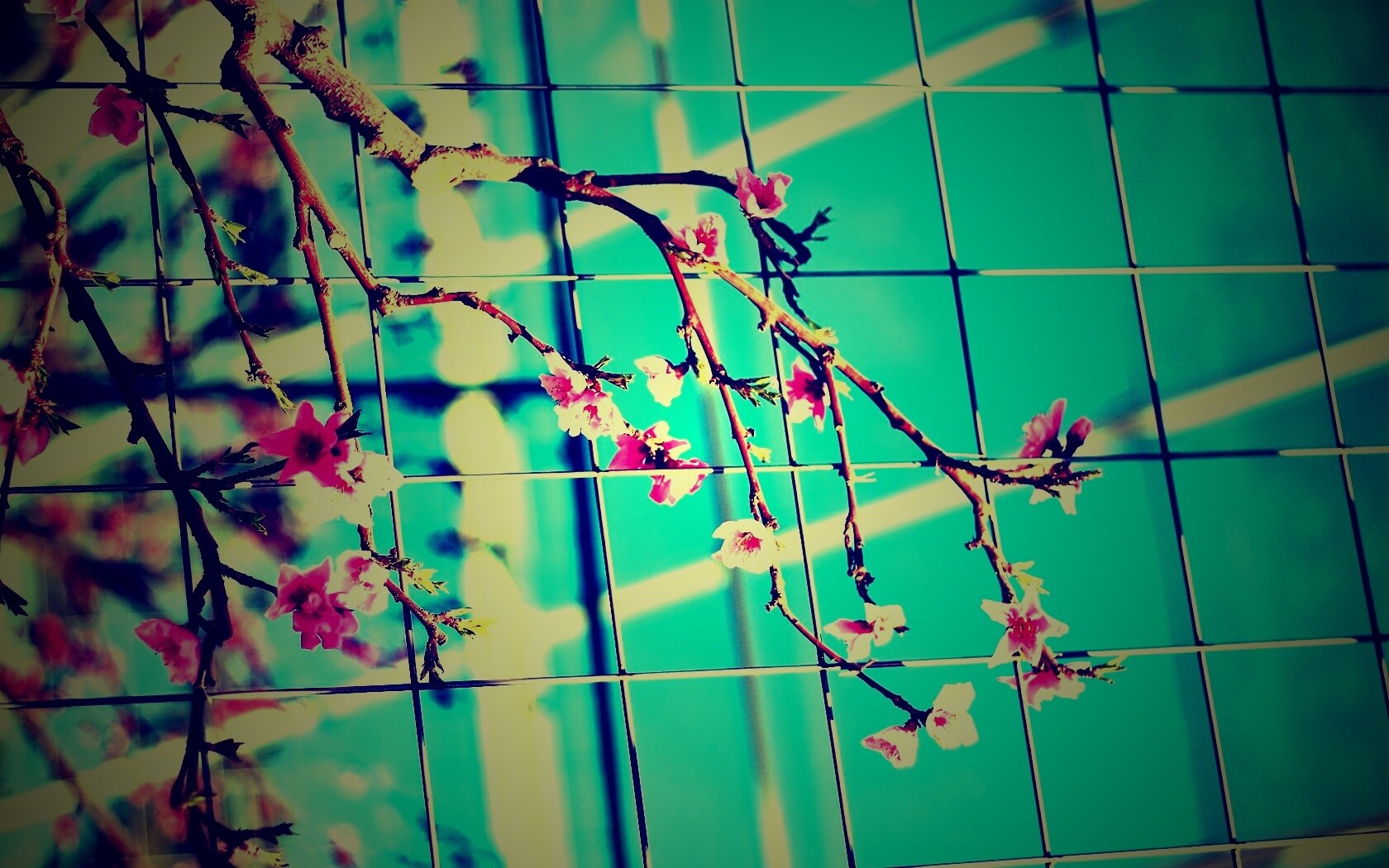 Ветка за сеткой обои