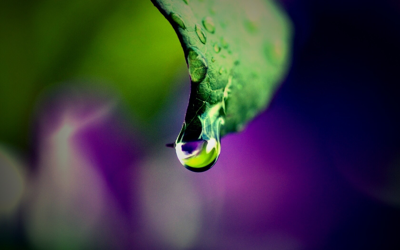 Капля на листе обои