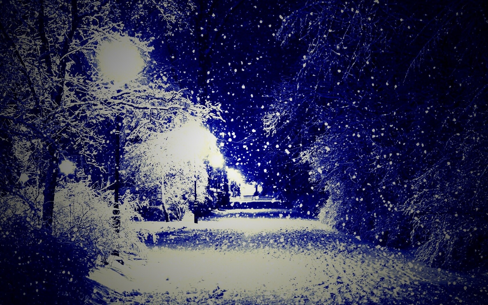 Зимняя аллея обои