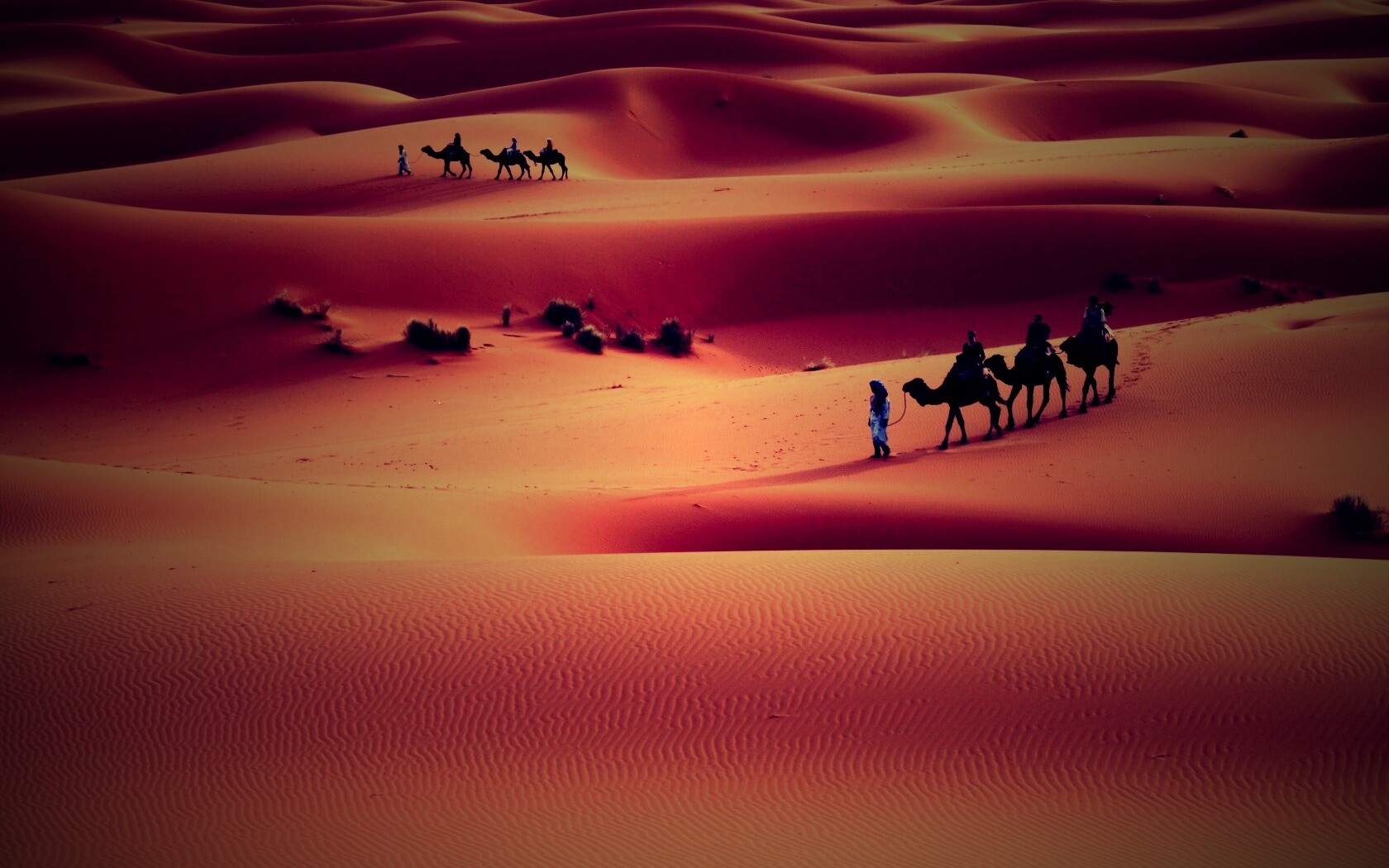 Караваны пустыни обои