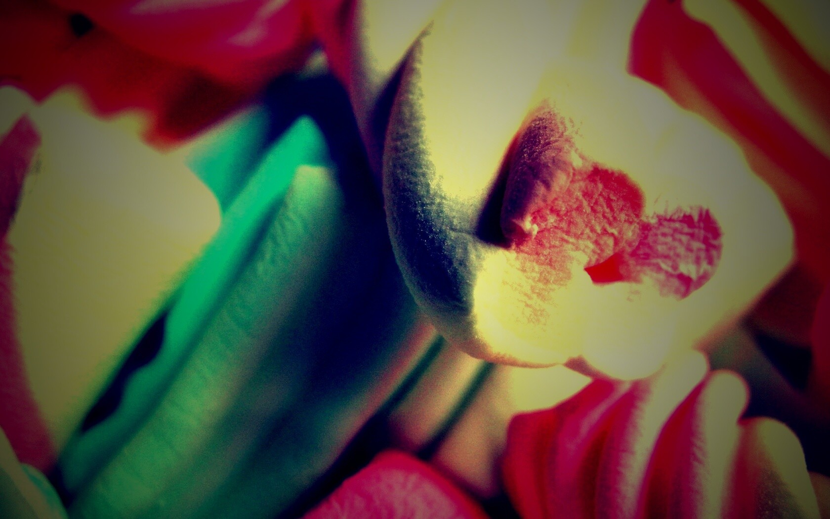 Кручёный зефир обои