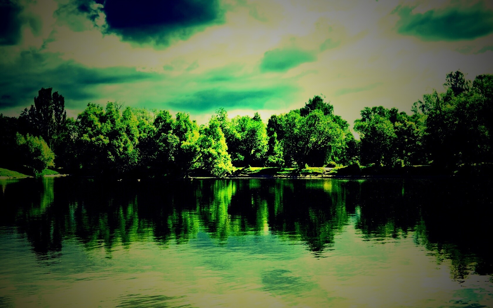 Деревья на берегу озера обои