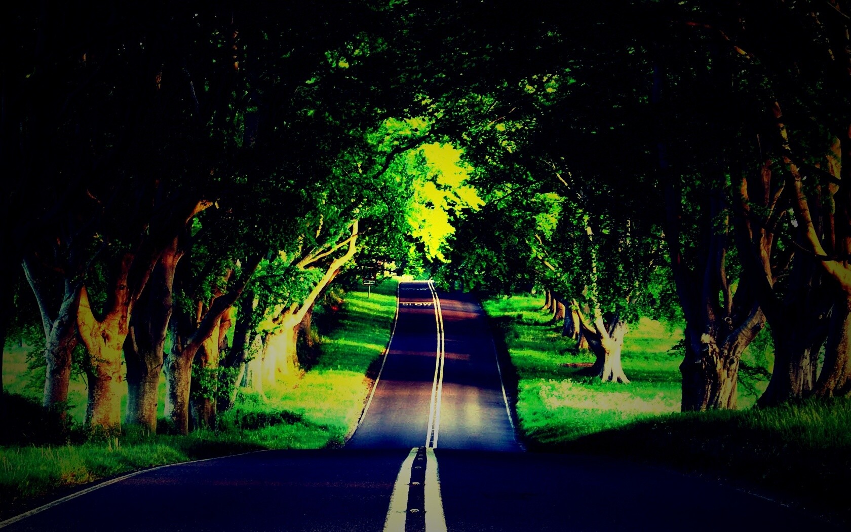 Дорога через лес обои