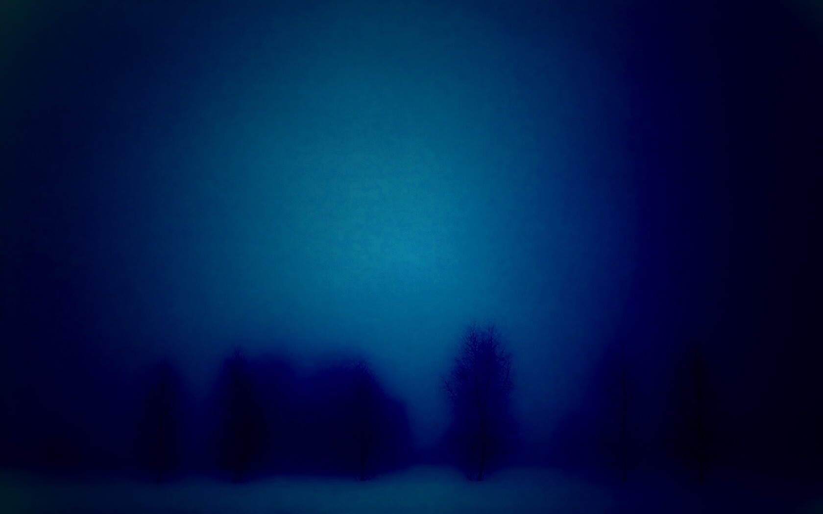 Деревья в тумане обои