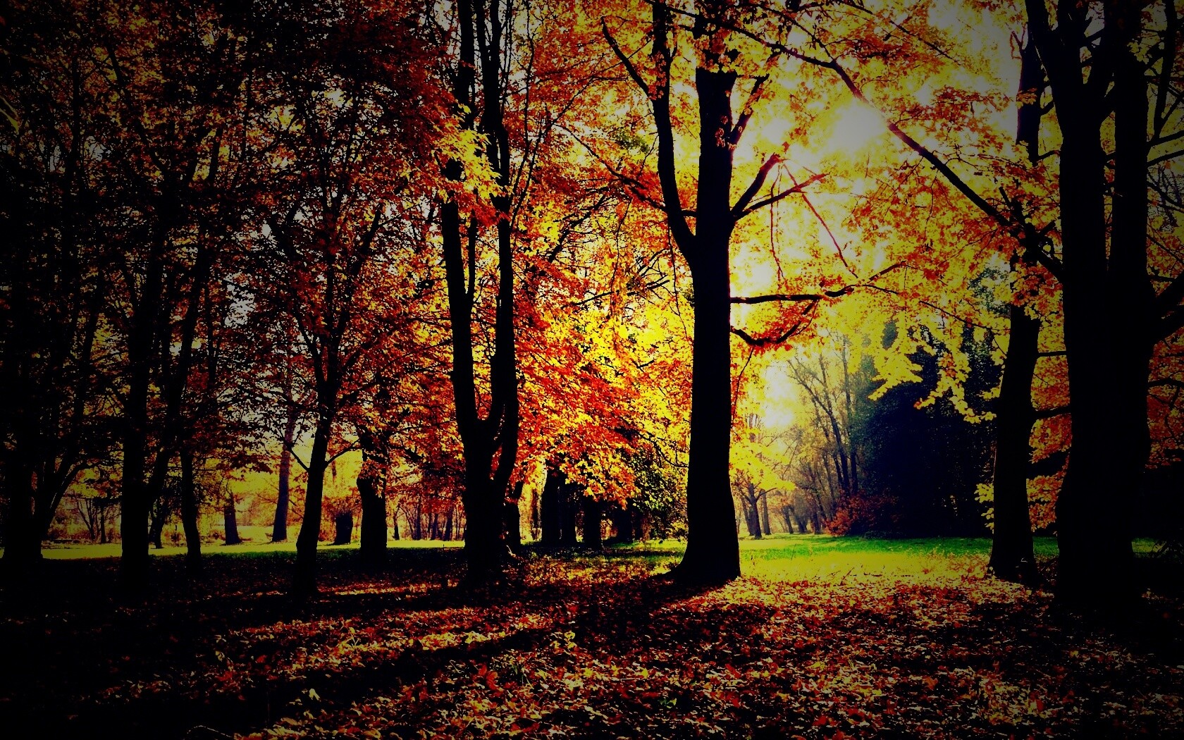 Осенний листопад в парке обои