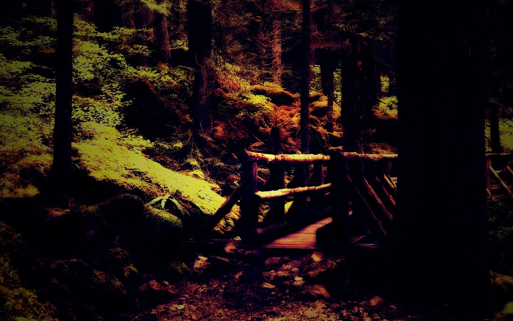 Бревенчатый мост в лесу обои