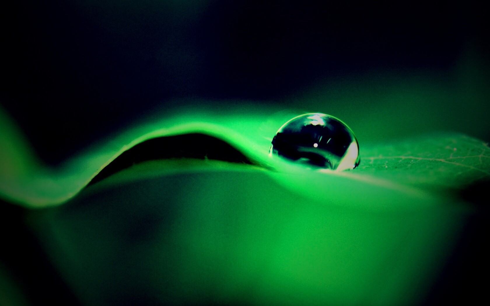 Фотография капли воды в макро обои