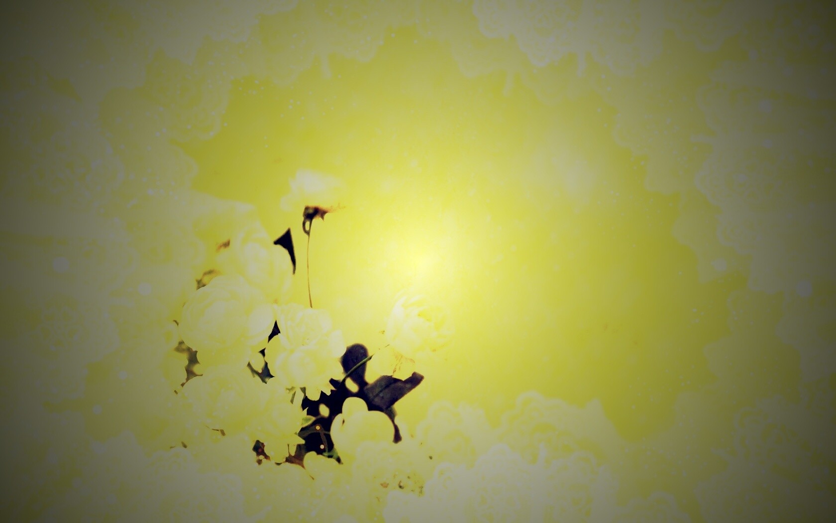 Бежевые кружева и розы обои