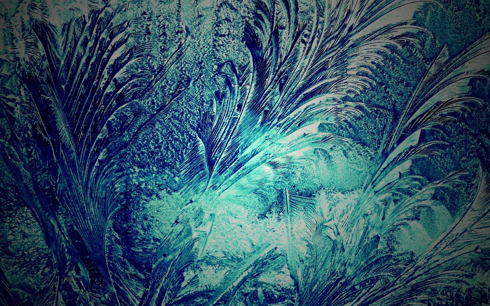 Зимние узоры обои