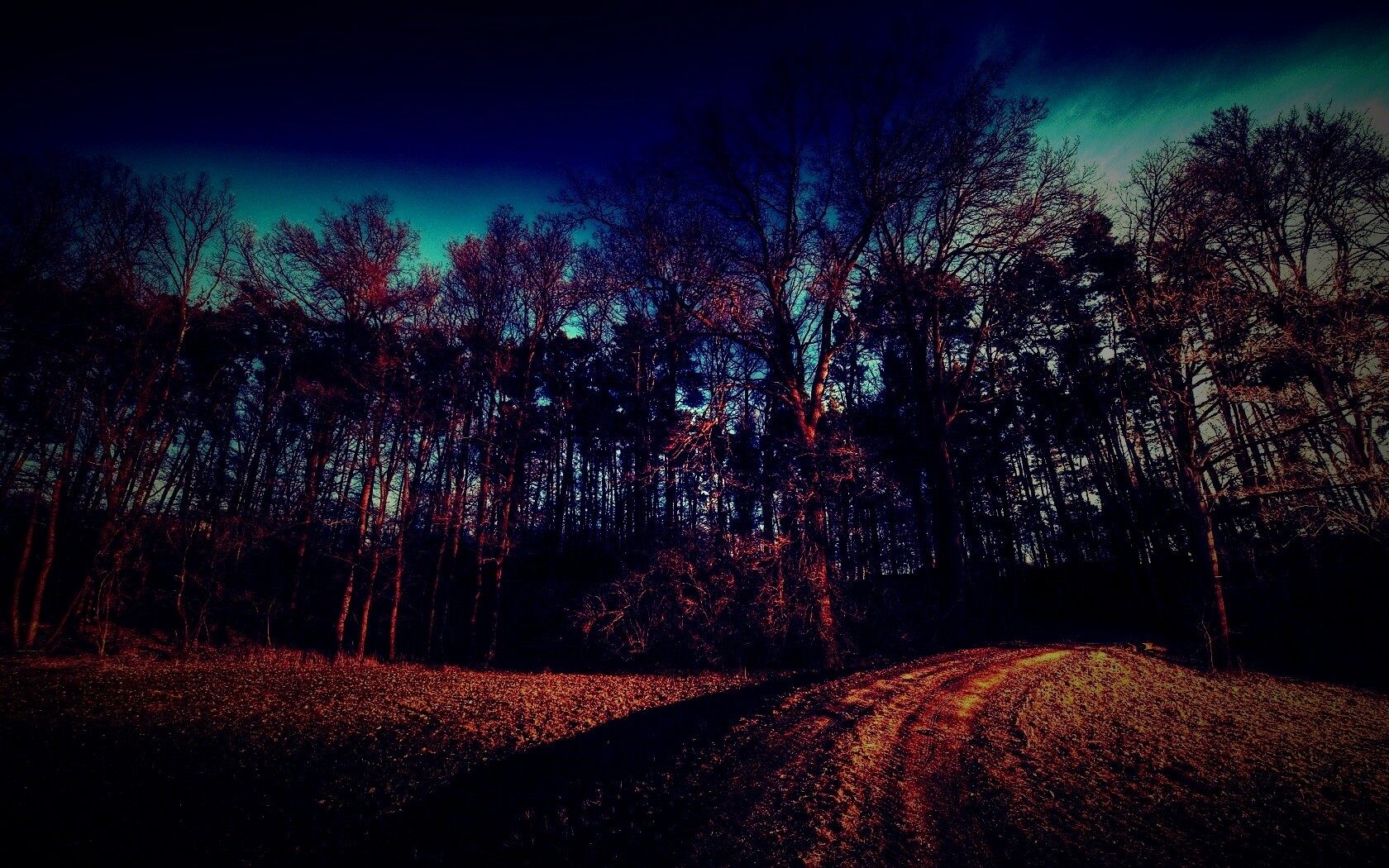 Дорога в лес обои