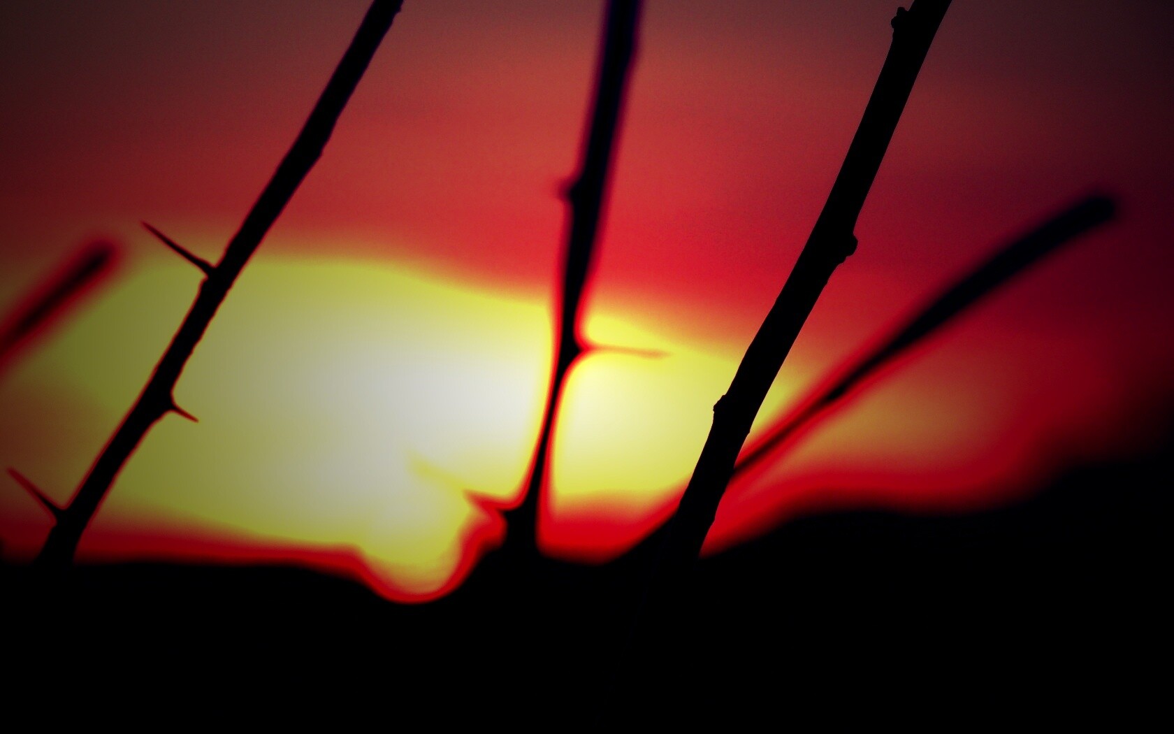 Закат солнца в поле обои