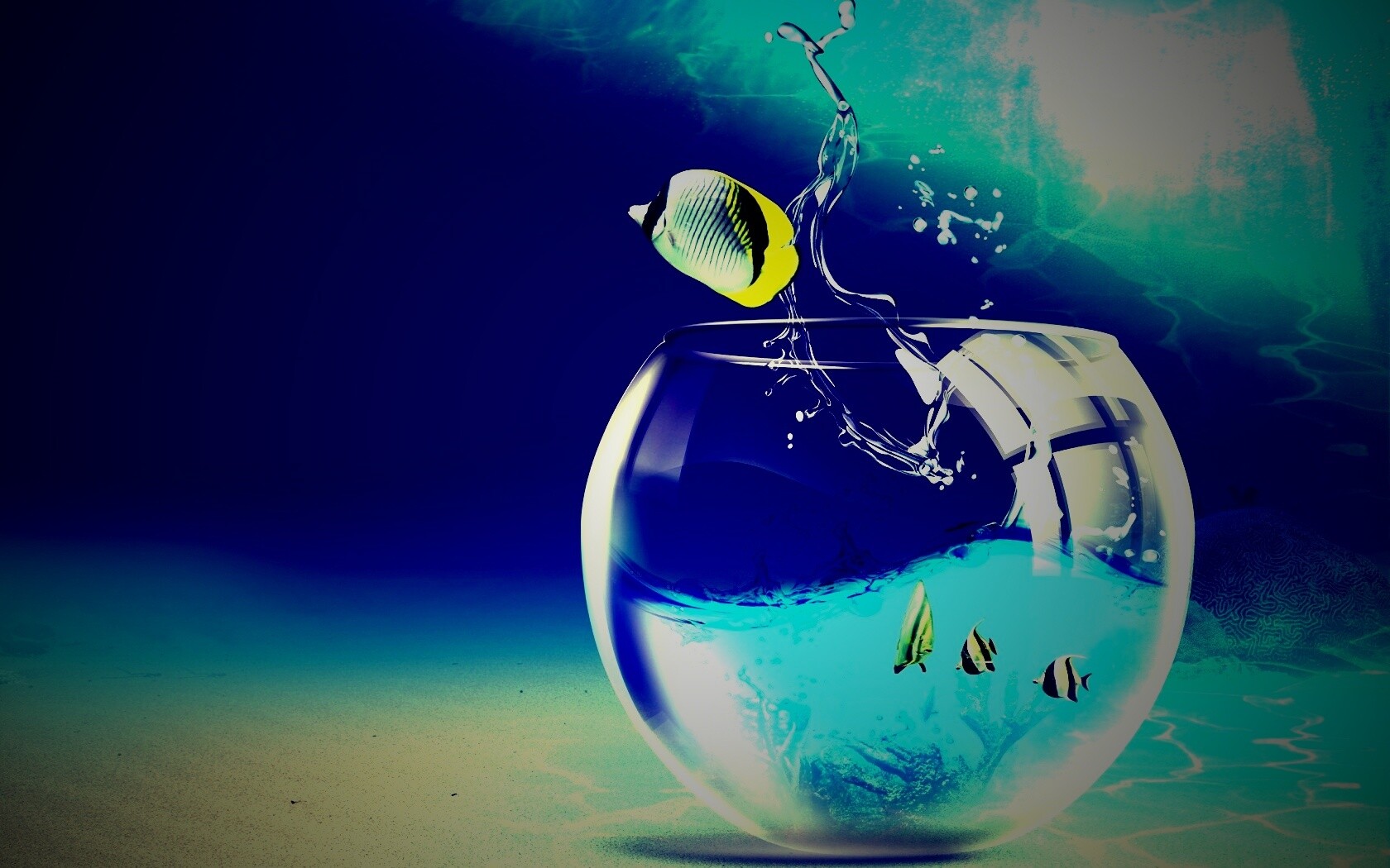 Аквариум с рыбками обои