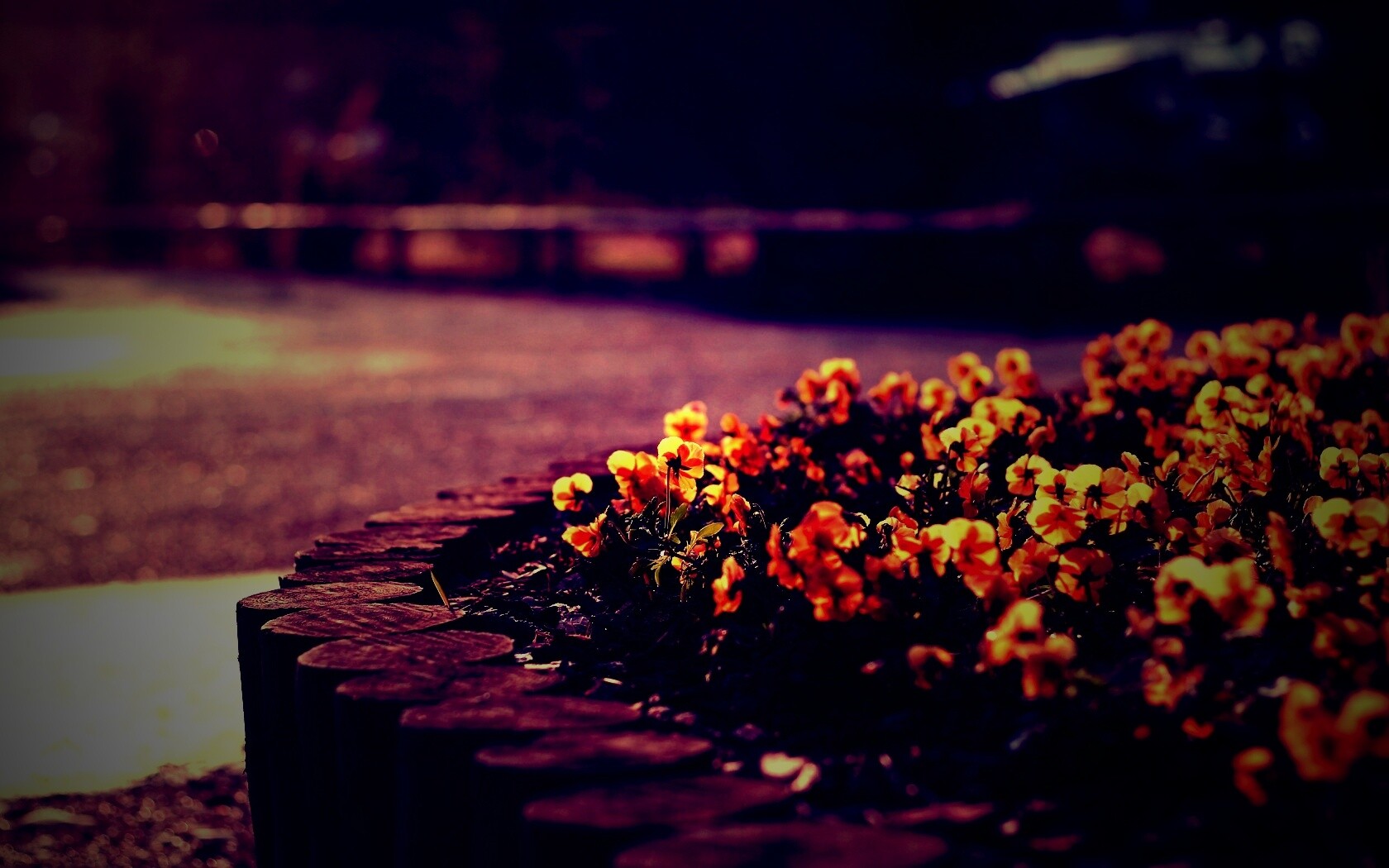 Красивая цветочная клумба обои