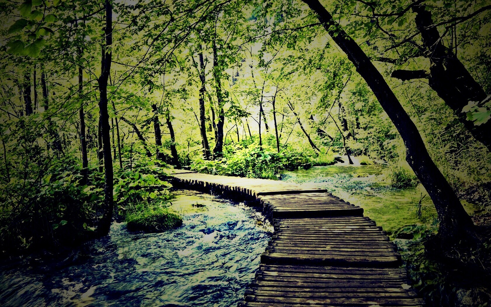 Тропинка над водой обои