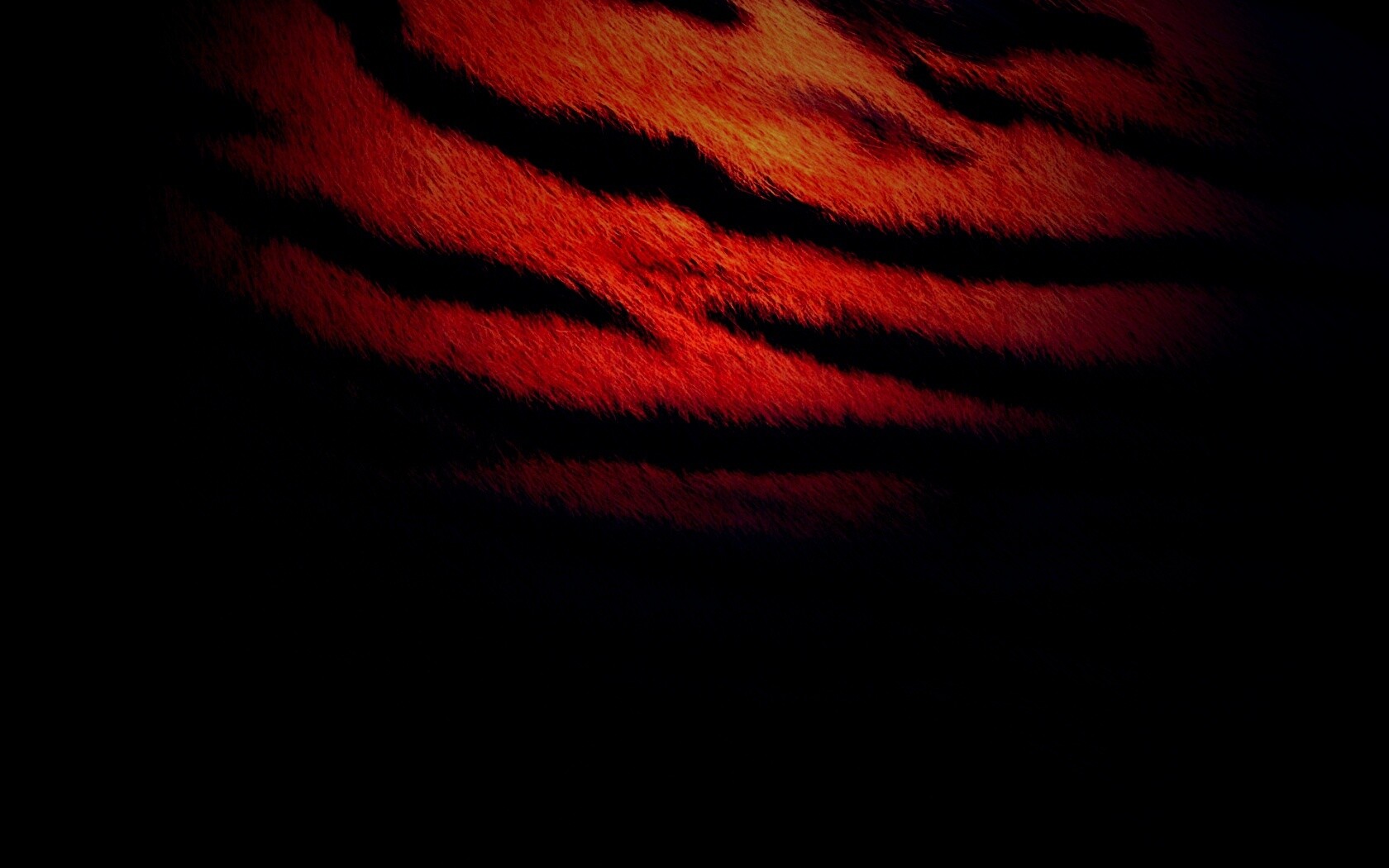 Тигриная шкура обои