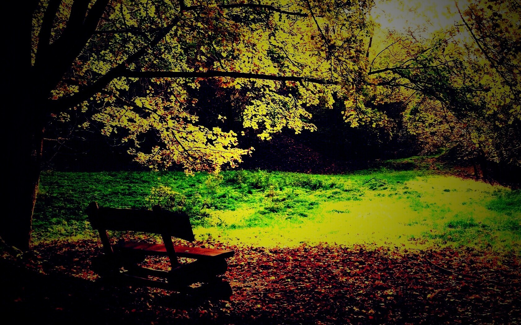 Скамейка под деревом обои