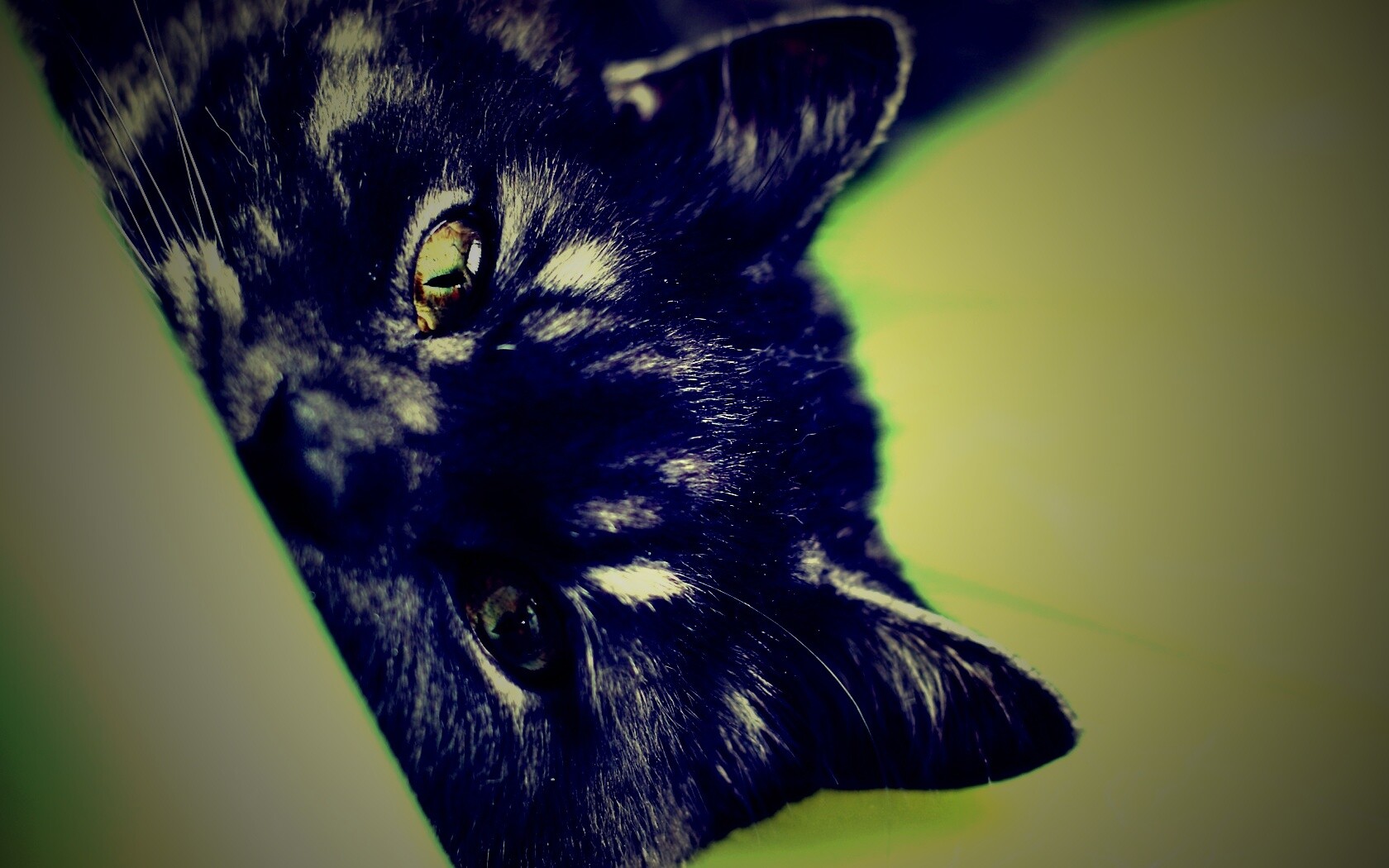 Глаза и уши обои