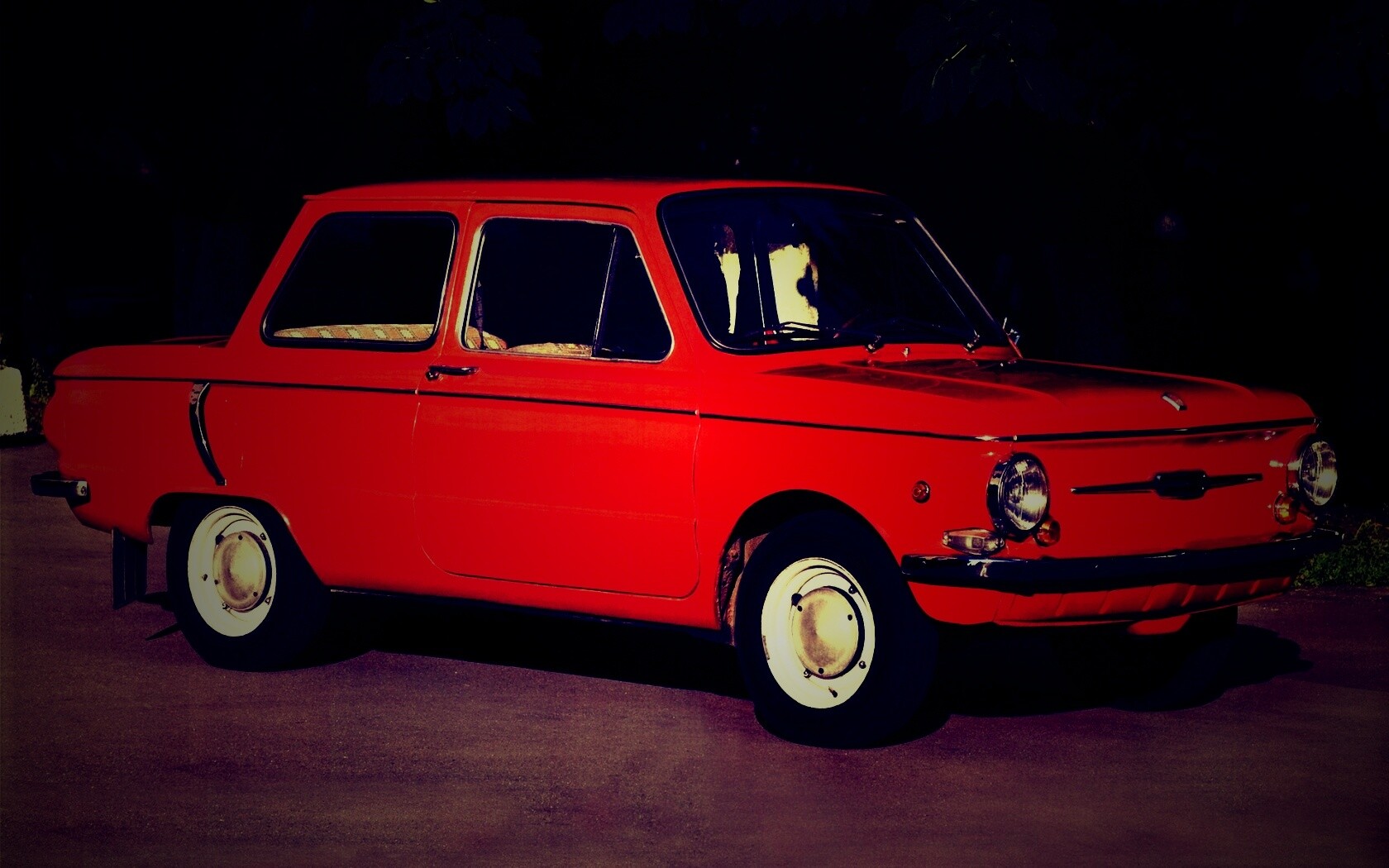 Оранжевый ушастый запорожец обои