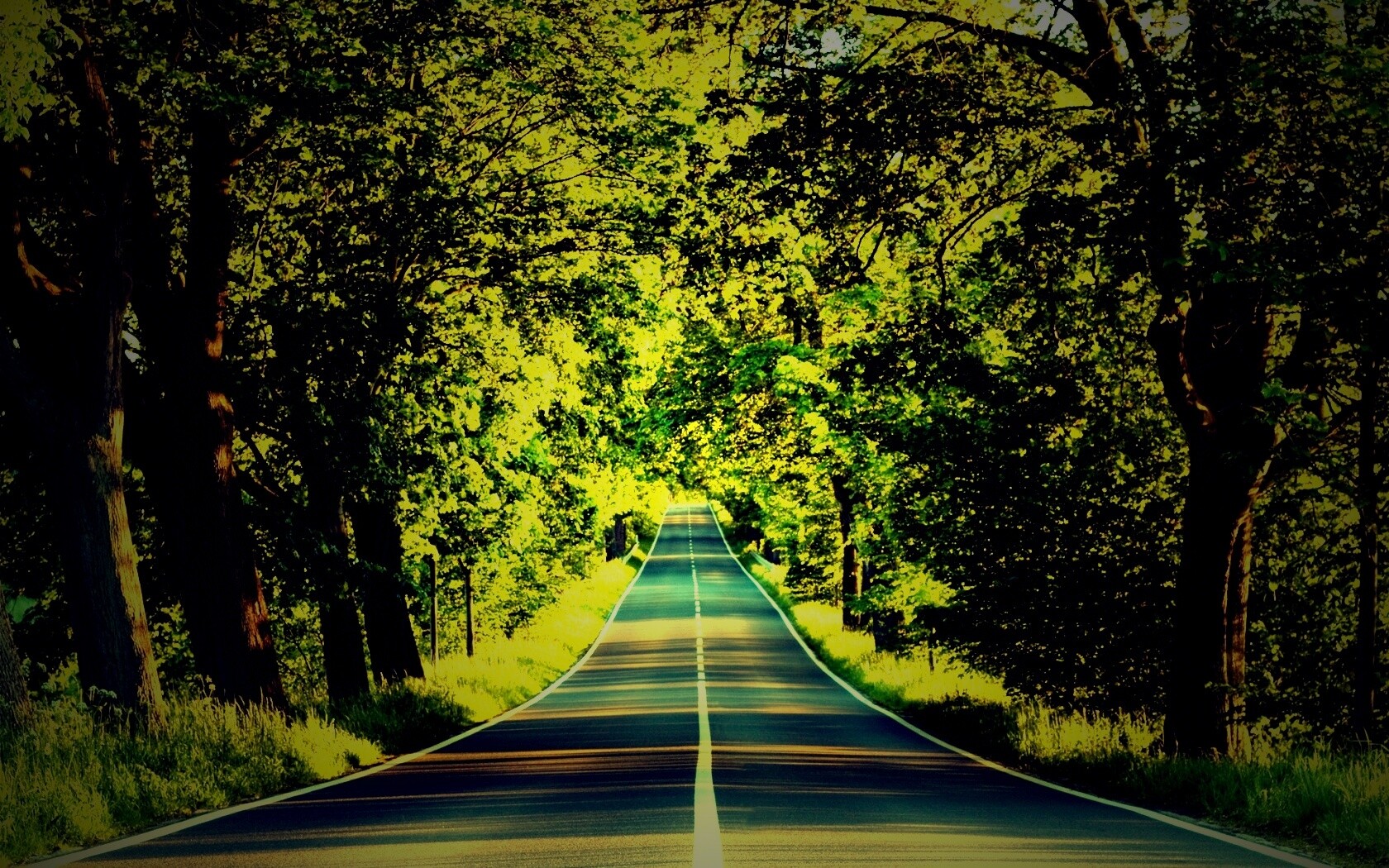 Под горку и в лес обои