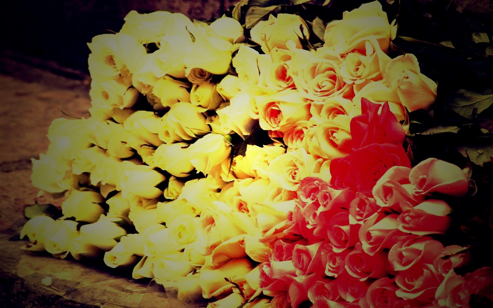 Букеты светлых роз обои