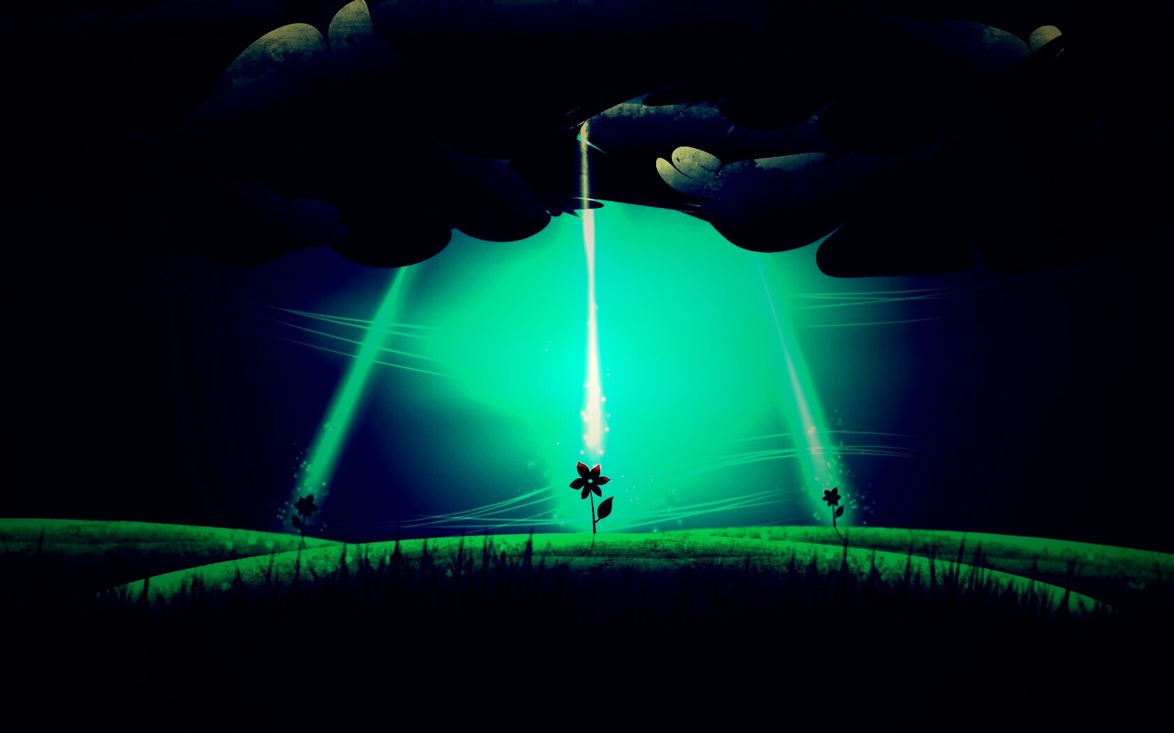 Свет для цветов обои