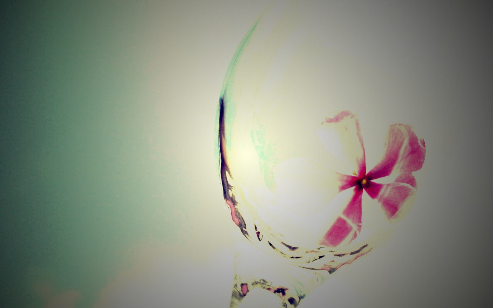 Нежный цветок в бокале на фоне голубого неба обои