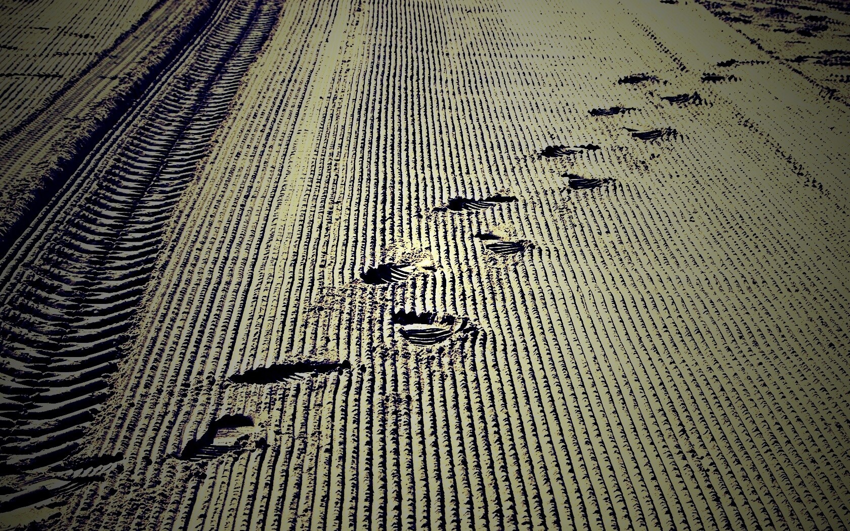 Следы на песке обои