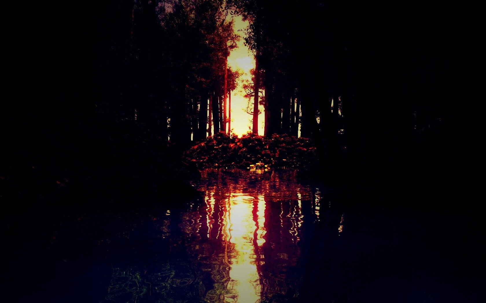 Болото в лесу обои