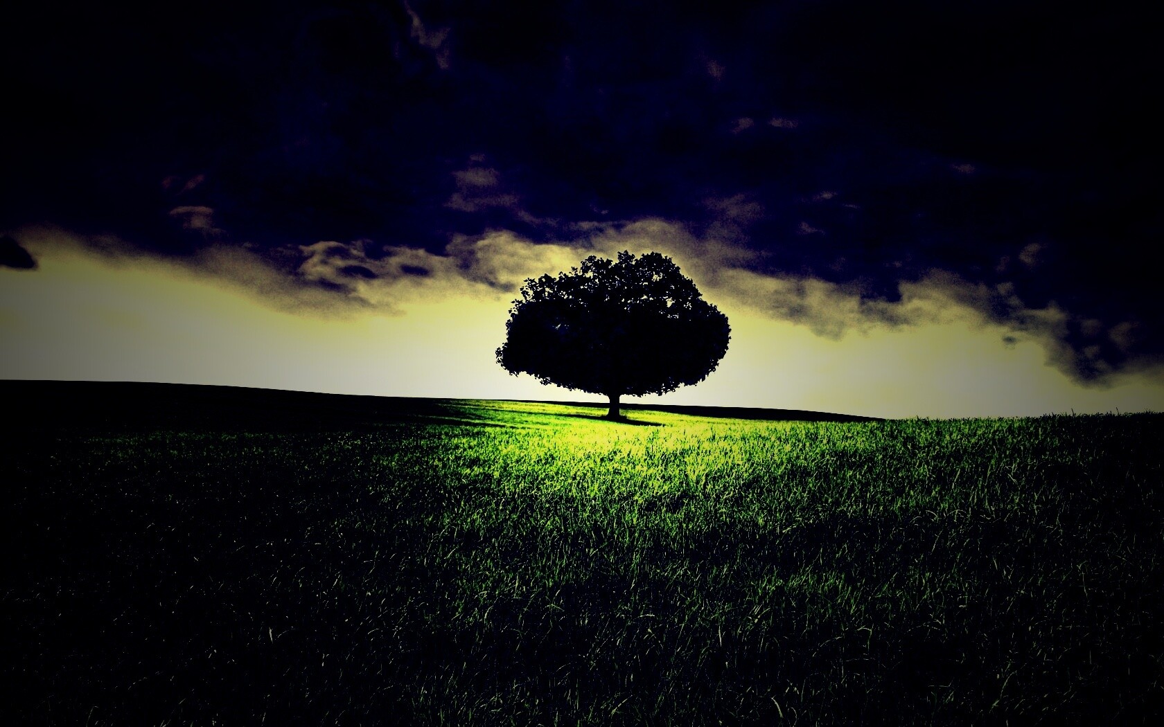 Одинокое дерево под грозовым небом обои