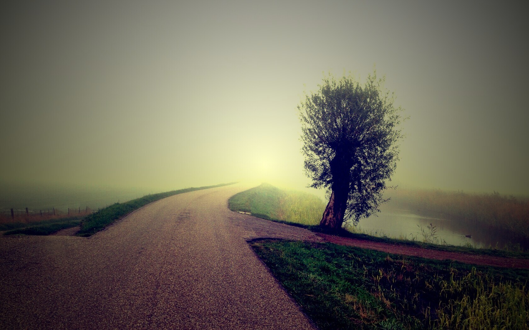 Дорога растворяется в тумане обои