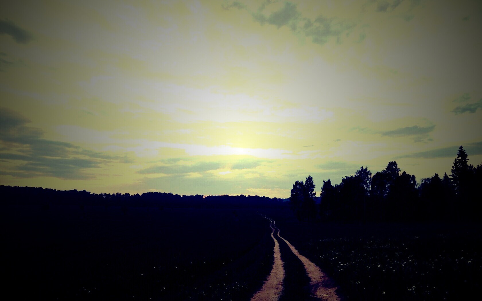 Дорога к лесу обои