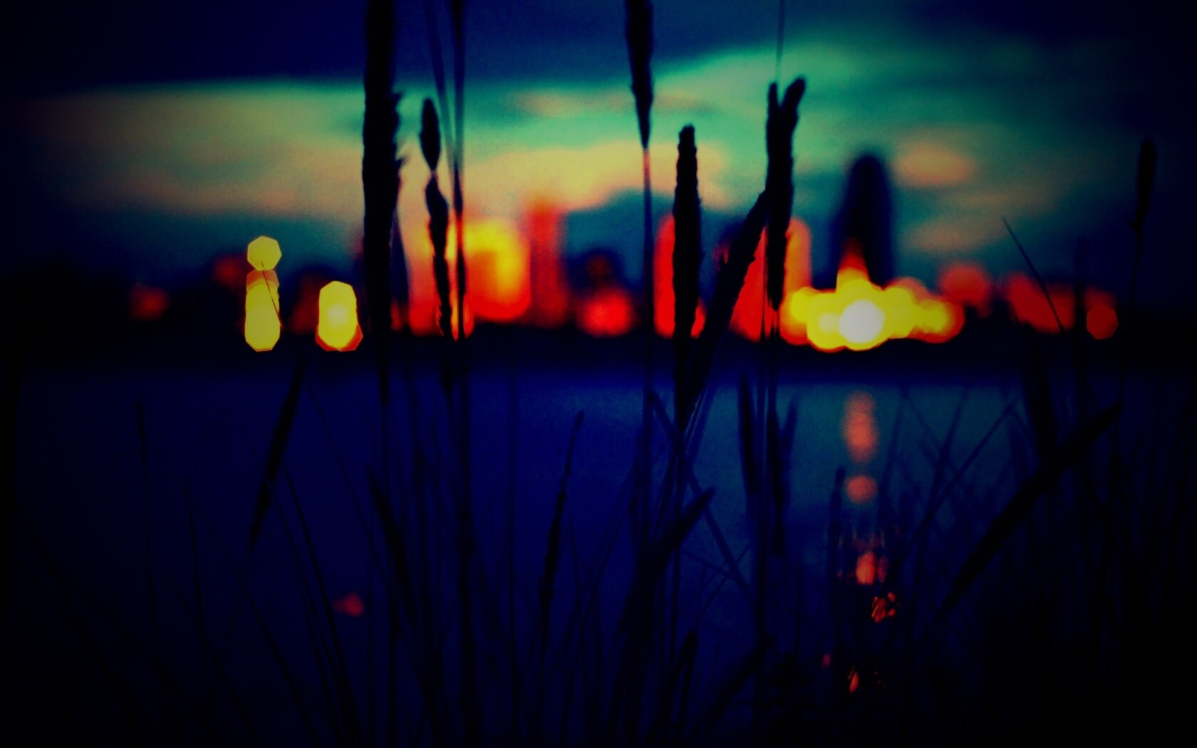 Камыш на фоне вечерних огней обои