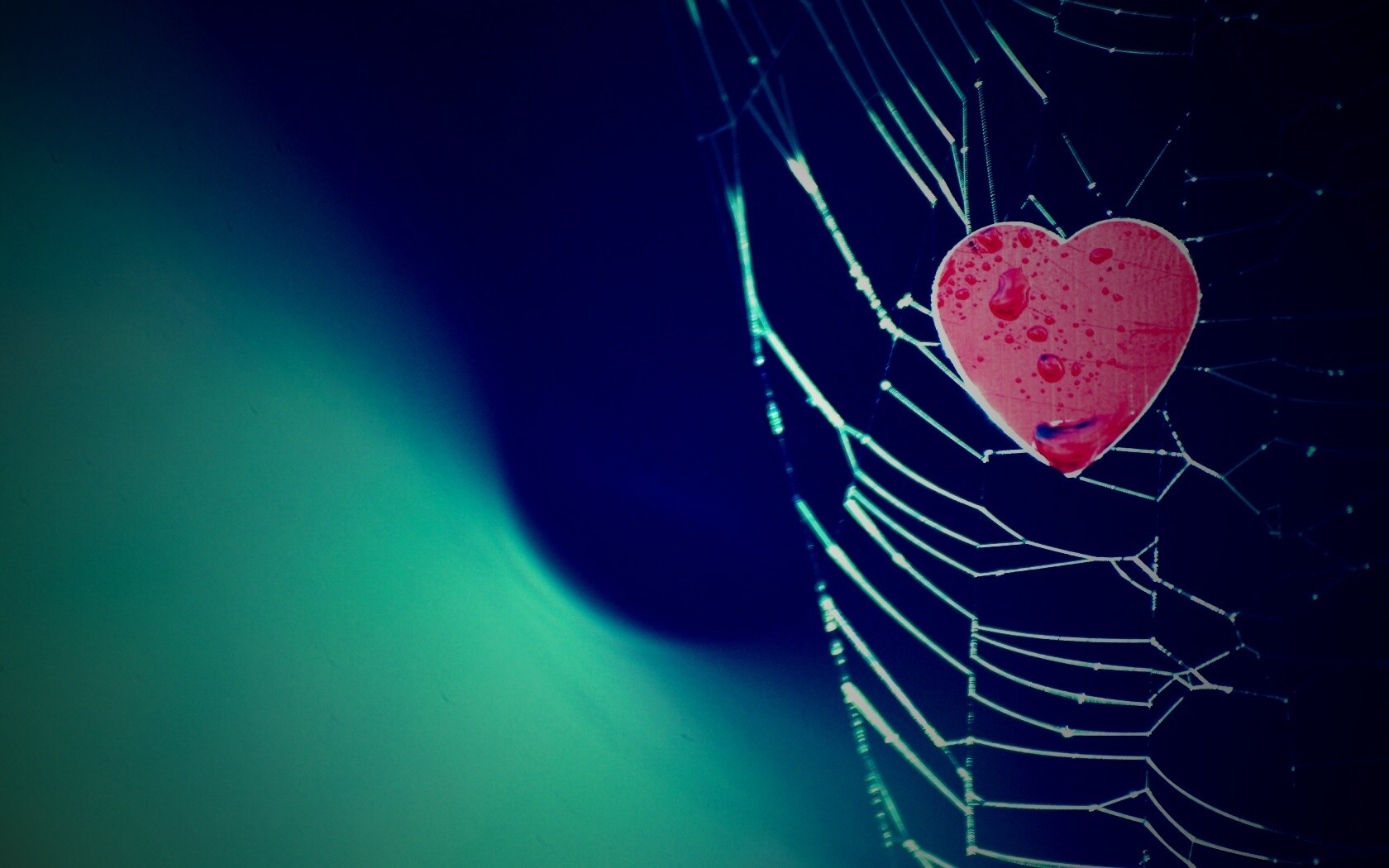 Сердце в паутине обои